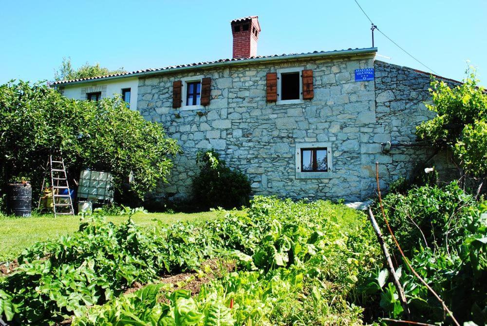 Casa Anka Vila Gračišće Exterior foto